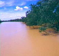 Warrego River - Attractions Brisbane