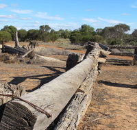 Zanci Pastoral Loop - Attractions Brisbane