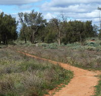 Grasslands Nature trail - Attractions Brisbane