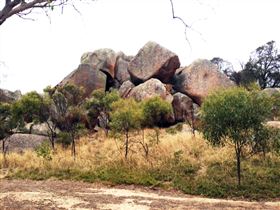 Cooke Plains ACT Attractions Brisbane