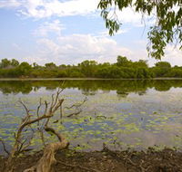 Yurmikmik Walks - Attractions Brisbane