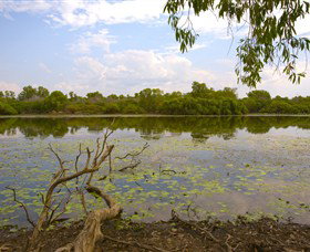 Yurmikmik Walks - Attractions Brisbane 0