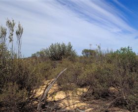 Wyperfeld National Park - Attractions Brisbane 0