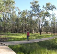 Ben Scott Memorial Bird Trail - Attractions Brisbane