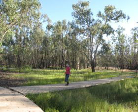 Ben Scott Memorial Bird Trail - Attractions Brisbane 0