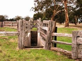 Wiese's Horse Dip - Part Of Historic Drive - Attractions Brisbane 0