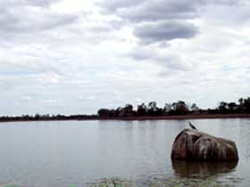 Theresa Creek Dam - Attractions Brisbane 2