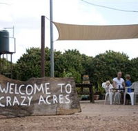 Crazy Acres - Attractions Brisbane