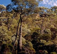 Ka Ka Mundi Carnarvon National Park - Attractions Brisbane