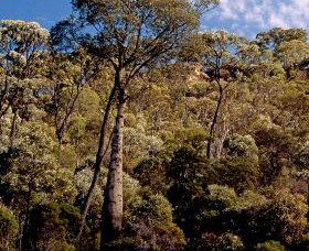 Ka Ka Mundi, Carnarvon National Park - Attractions Brisbane 0