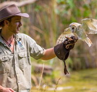 Territory Wildlife Park - Attractions Brisbane