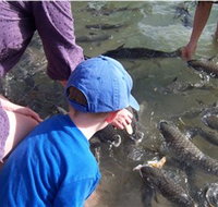 Aquascene - Attractions Brisbane