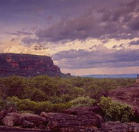 Nature's Way - Attractions Brisbane