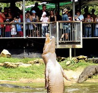 Crocodylus Park - Attractions Brisbane
