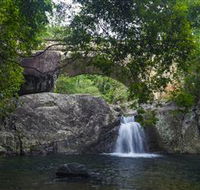 Paluma and Crystal Creek Rainforest - Attractions Brisbane
