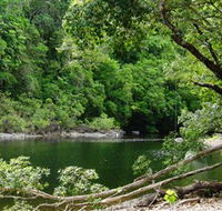 Broadwater Abergowrie State Forest - Attractions Brisbane