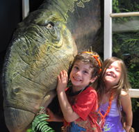 Australian Opal Centre - Attractions Brisbane