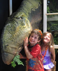 Australian Opal Centre - Attractions Brisbane 0