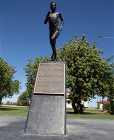 Railway Park Dirranbandi - Attractions Brisbane 1