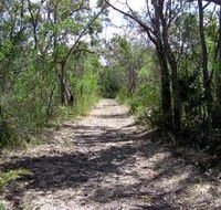 Lanky's Walk - Attractions Brisbane
