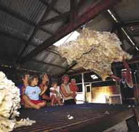 Shear Outback the Australian Shearers Hall of Fame - Attractions Brisbane