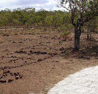 Wurrwurrwuy Garanhan Macassan Beach Interpretive Walk - Attractions Brisbane