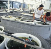 James Cook University of North Queensland - Attractions Brisbane