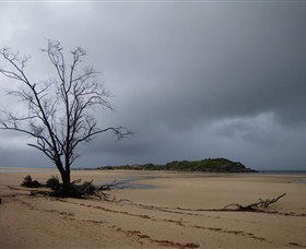 Dhamitjinya (East Woody Island) And Galaru (East Woody Beach) - Attractions Brisbane 3