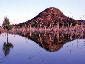 Nuga Nuga National Park And Lake Nuga Nuga - Attractions Brisbane 3