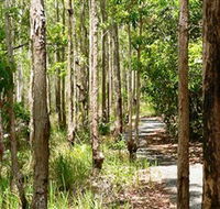 Hallorans Hill Conservation Park - Attractions Brisbane