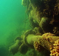 Wreck Diving at Magnetic Island - Attractions Brisbane