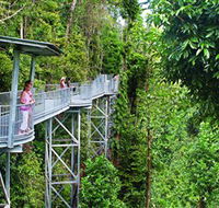 Mamu Tropical Skywalk - Attractions Brisbane