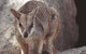 Arcadia At Magnetic Island - thumb 2