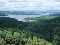 Book Dimbulah Accommodation Vacations Attractions Brisbane Attractions Brisbane