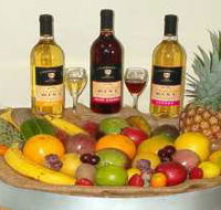 de Brueys Boutique Wines and Functions Venue - Attractions Brisbane