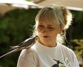 Simply Tomatoes - Attractions Brisbane 0