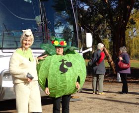 Simply Tomatoes - Attractions Brisbane 6