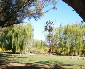 Simply Tomatoes - Attractions Brisbane 7