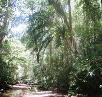 Mount Lewis National Park - Attractions Brisbane