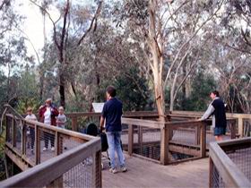 Valley Lake Conservation Park - Attractions Brisbane 1