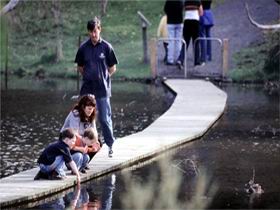 Valley Lake Conservation Park - Attractions Brisbane 2