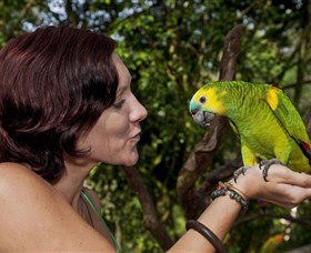 Birdworld Kuranda - Attractions Brisbane 0