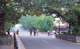 Kuranda - Village In The Rainforest - Attractions Brisbane 1