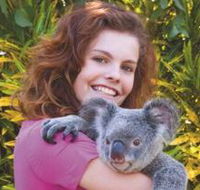 Kuranda Koala Gardens - Attractions Brisbane