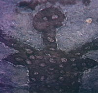 Quinkan Reserves Ancient Rock Art - Attractions Brisbane