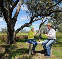 Restdown Wines and Walking Trail - Attractions Brisbane
