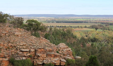 Jacks Creek Walking Track - Attractions Brisbane 0
