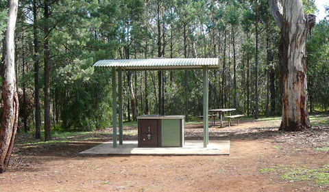 Jacks Creek Walking Track - Attractions Brisbane 1