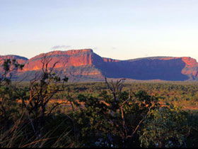 Blackdown Tableland National Park - Attractions Brisbane 0