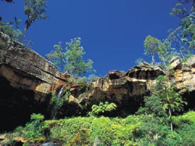 Blackdown Tableland National Park - Attractions Brisbane 1